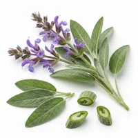 Sage