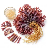Sea Moss