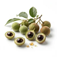 Styrax