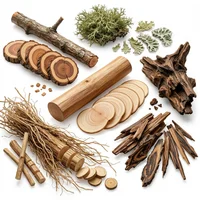 Woodsy Notes